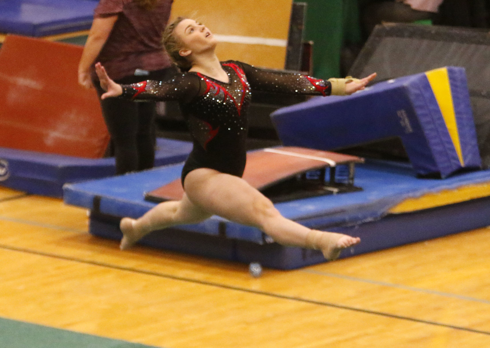 Gymnastics Regional